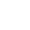 Carrier Services